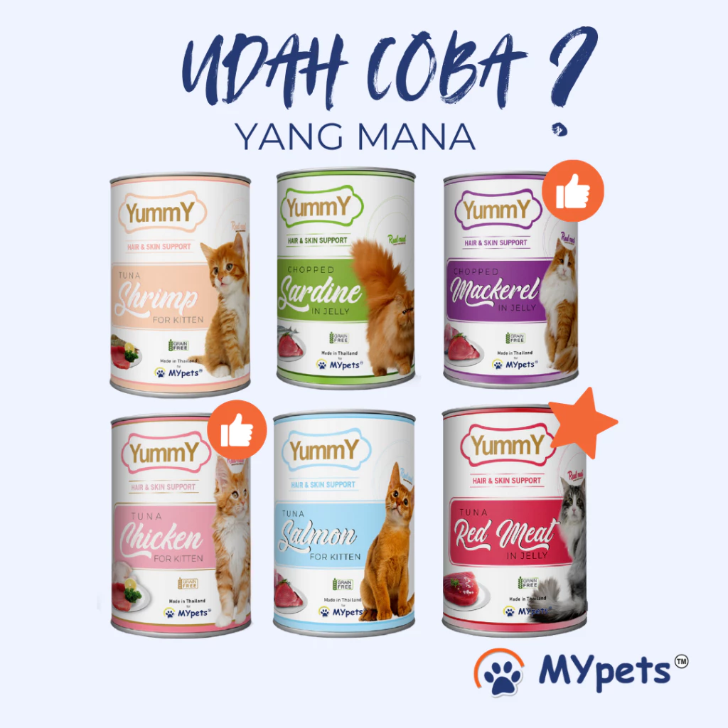 YUMMY CANNED CAT 400 GRAM