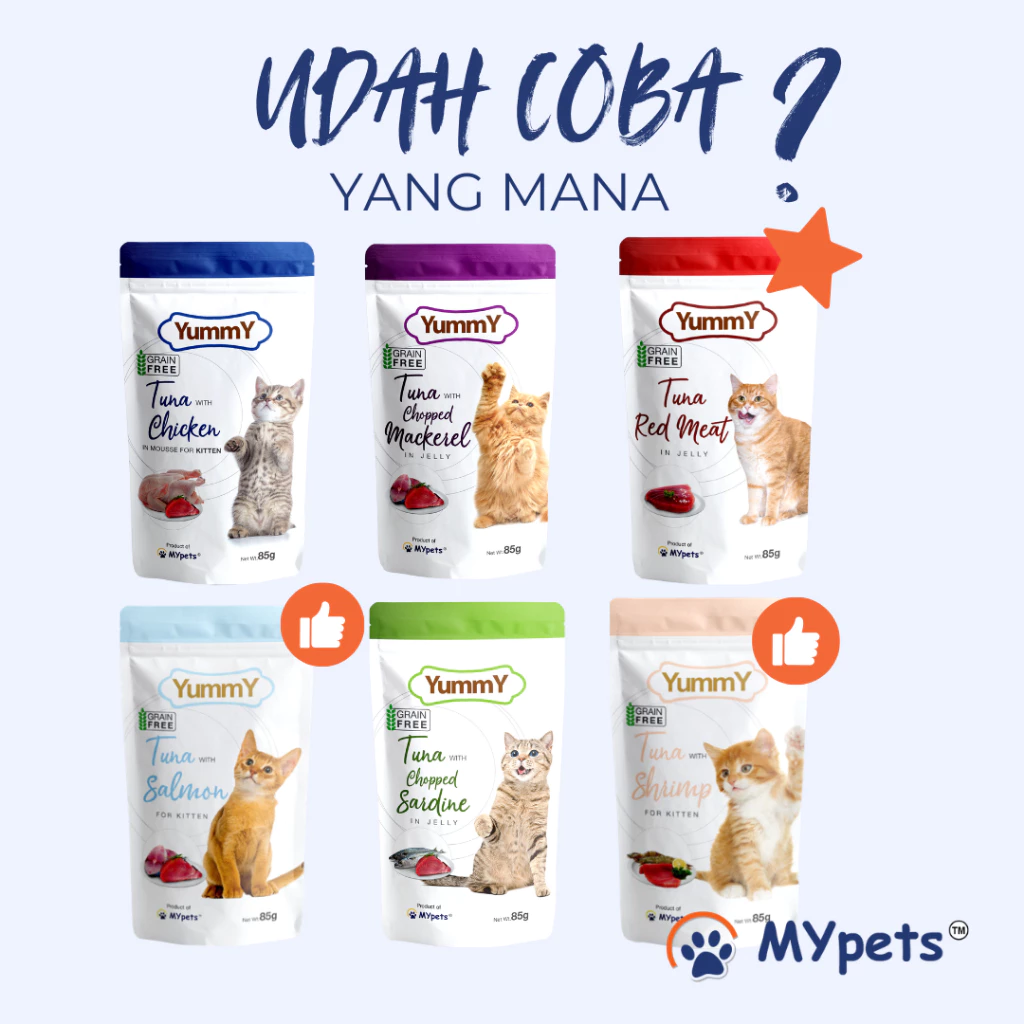 YUMMY POUCH CAT 85 GRAM